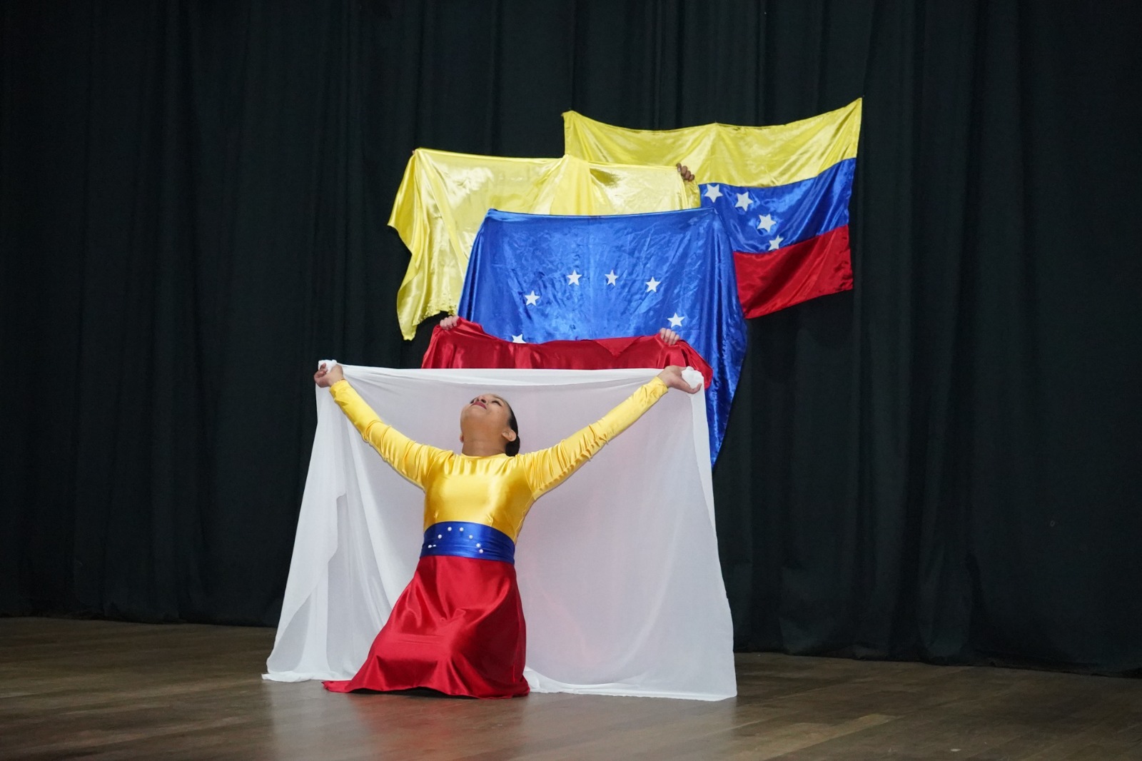 Noche de cultura venezolana