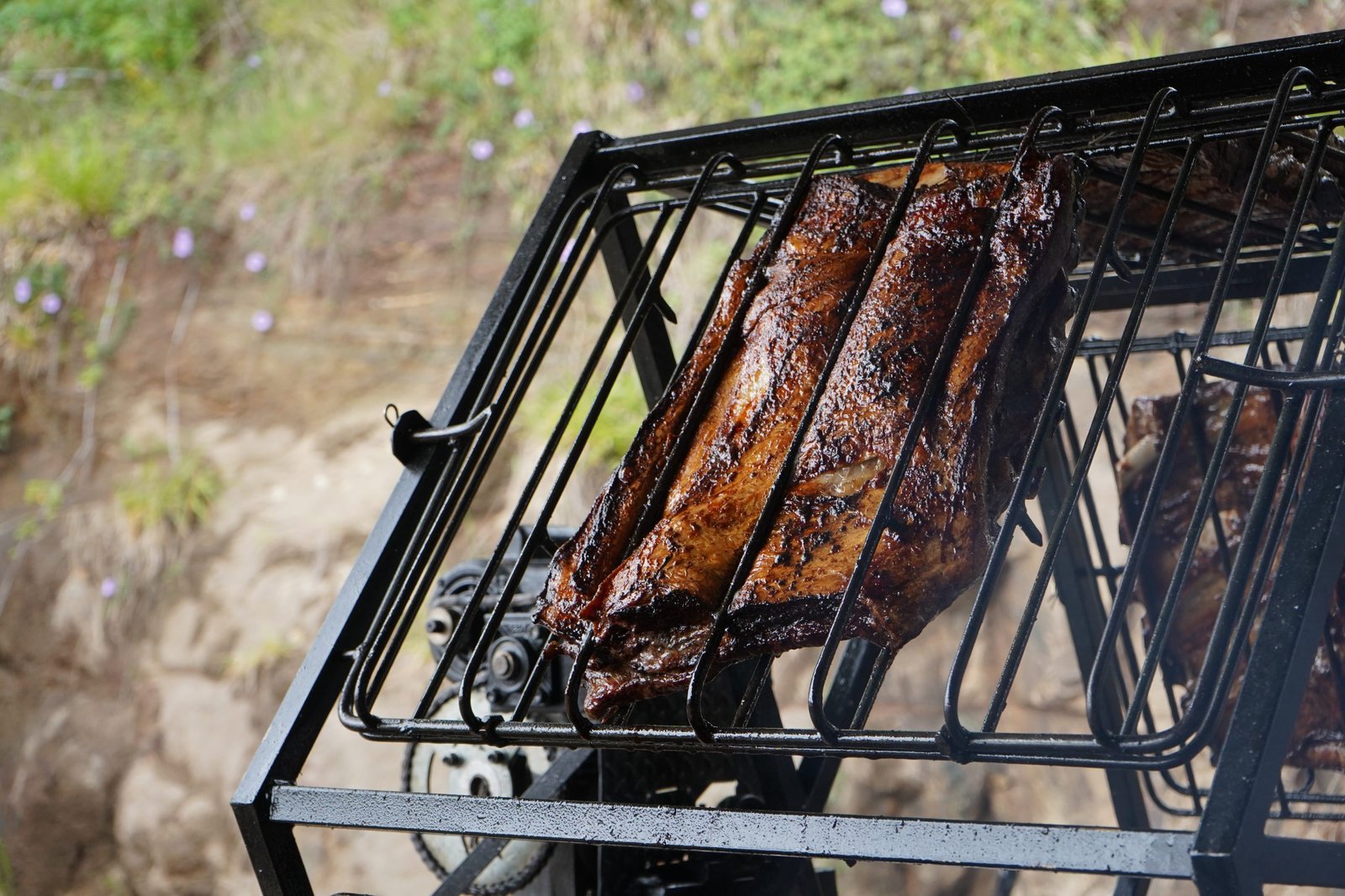 Primeira Festa da Costela