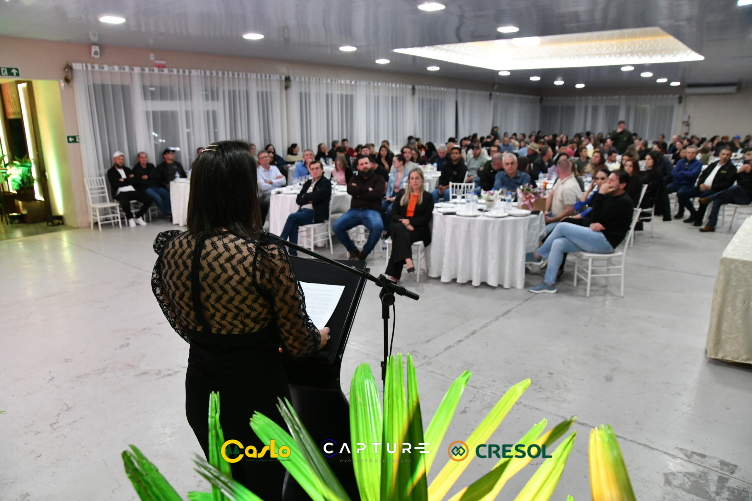 RNC_1033