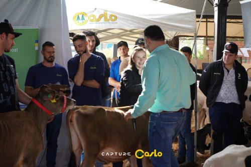 EXPOCASLO-103 (1) (1)