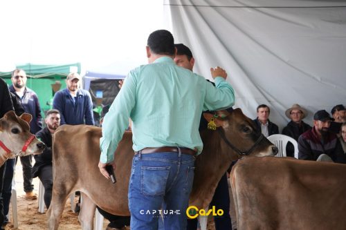 EXPOCASLO-104 (1)