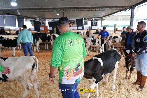 EXPOCASLO-114 (1)
