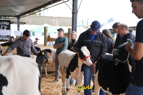 EXPOCASLO-115 (1)