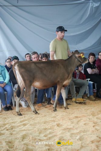 EXPOCASLO-65 (1) (1) (1)