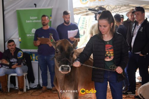 EXPOCASLO-78 (1) (1) (1)